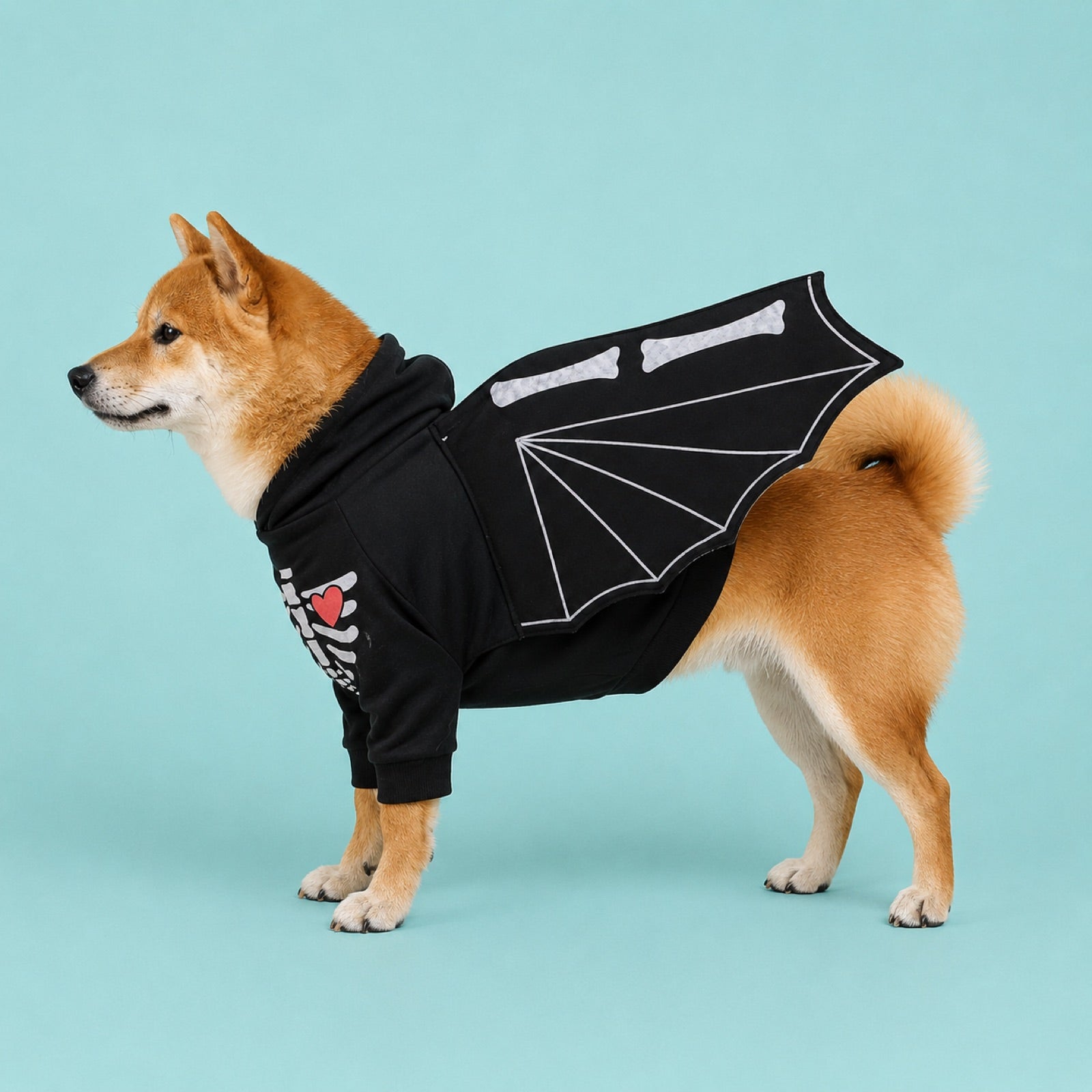 Side profile of dog wearing the skeleton bat-wing costume showing full fit on teal background